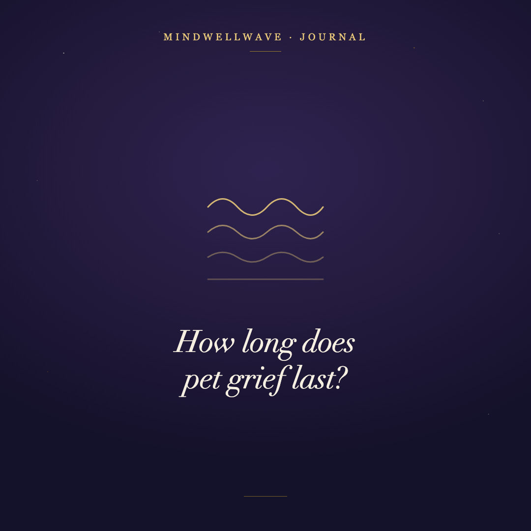 Three tide lines, each one shallower than the last