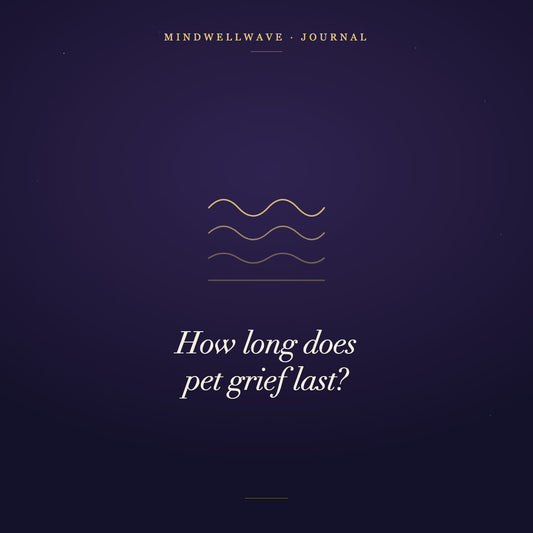 Three tide lines, each one shallower than the last