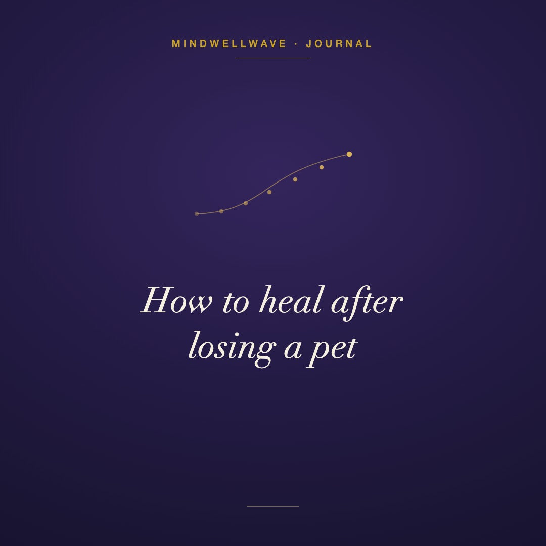 How to Heal After Losing a Pet: 7 Gentle Steps to Find Closure