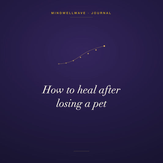 How to Heal After Losing a Pet: 7 Gentle Steps to Find Closure