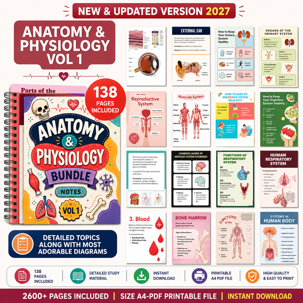Nursing School Notes 4400+ Pages, Nclex Study Guide | MedSurg | Pharmacology | Digital Download