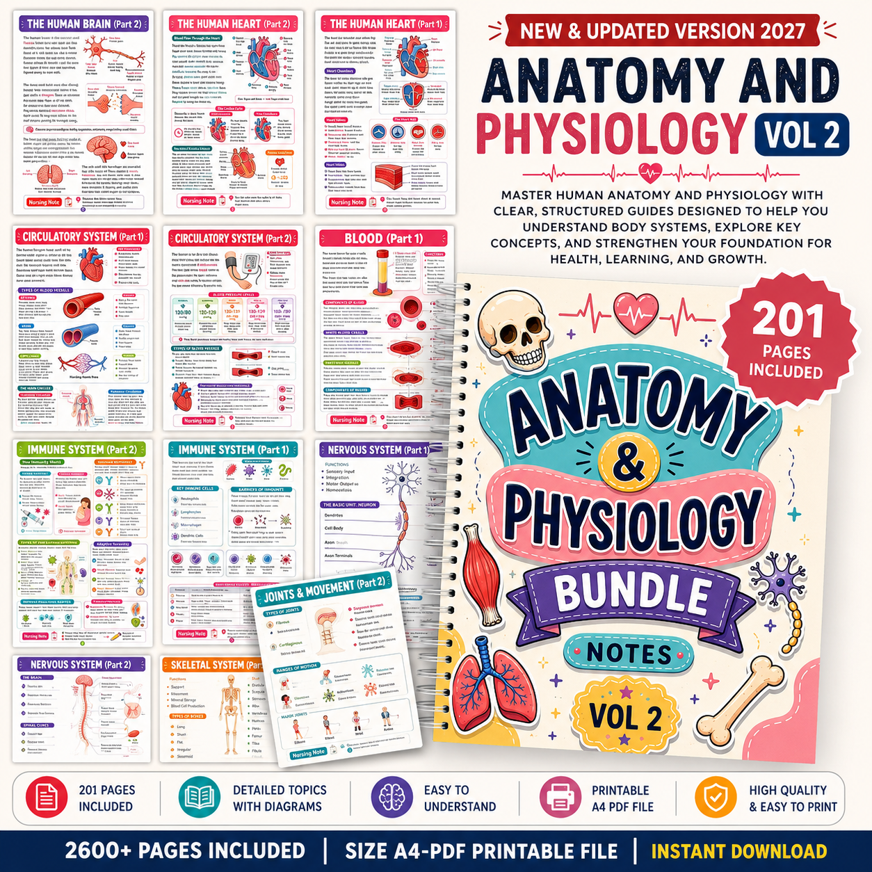 Nursing School Notes 4400+ Pages, Nclex Study Guide | MedSurg | Pharmacology | Digital Download