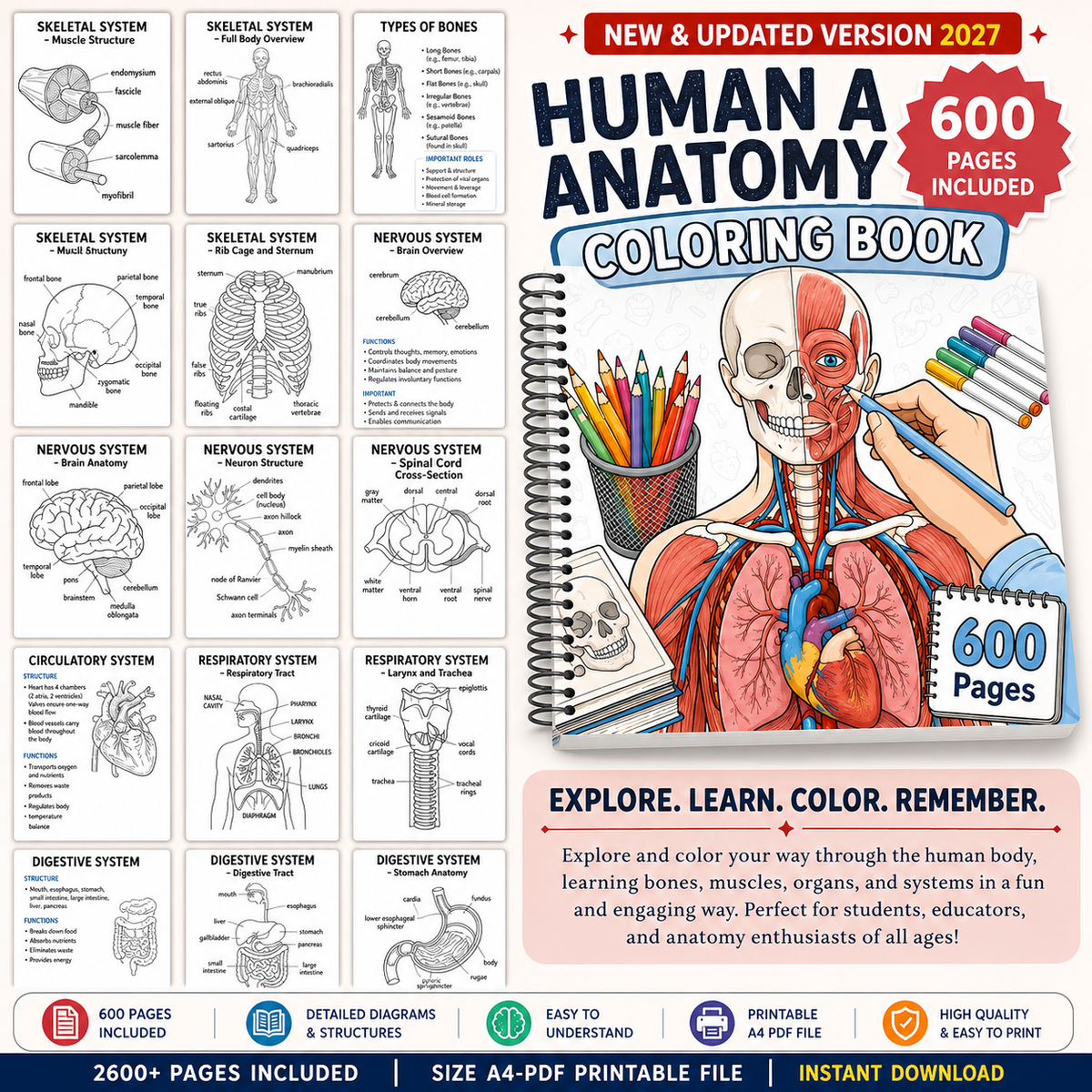 Nursing School Notes 4400+ Pages, Nclex Study Guide | MedSurg | Pharmacology | Digital Download