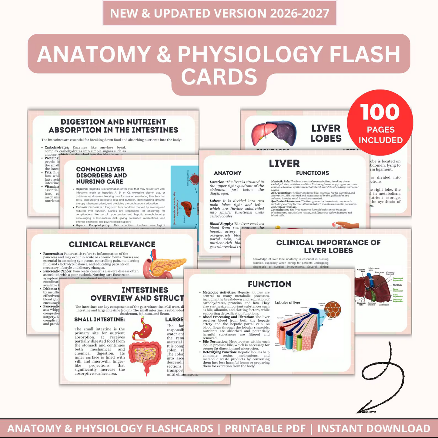 Nursing School Notes 4400+ Pages, Nclex Study Guide | MedSurg | Pharmacology | Digital Download