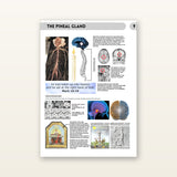 Book of Wisdom: A Deeper Look into Spiritualism, Symbolism & Religion 2