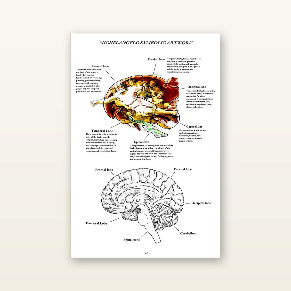 Inside: symbolic map of the brain