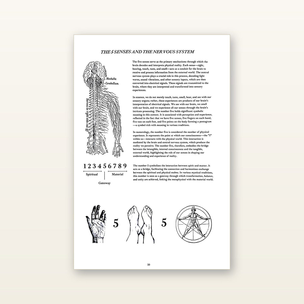 Inside: the senses and nervous system