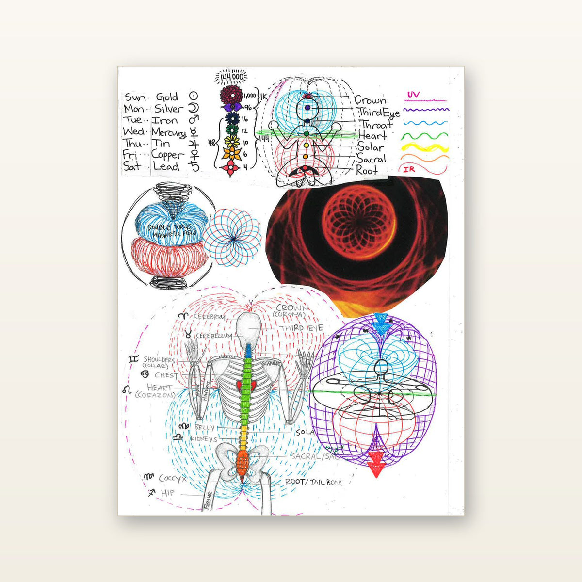 Inside: the chakra system and torus
