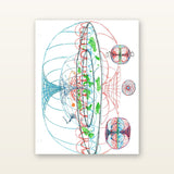 The Hearth Book | Unlock the Secrets of the Universe | All 3 Parts Included 5
